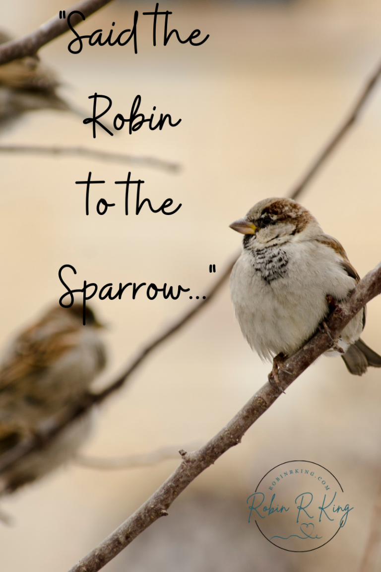 said the ROBIN to the sparrow