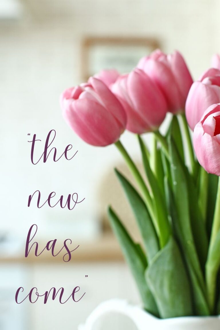 Pack Up the Labels, Unpack the Truth, Week Four – Failure and Regret, Looking Forward Not Back